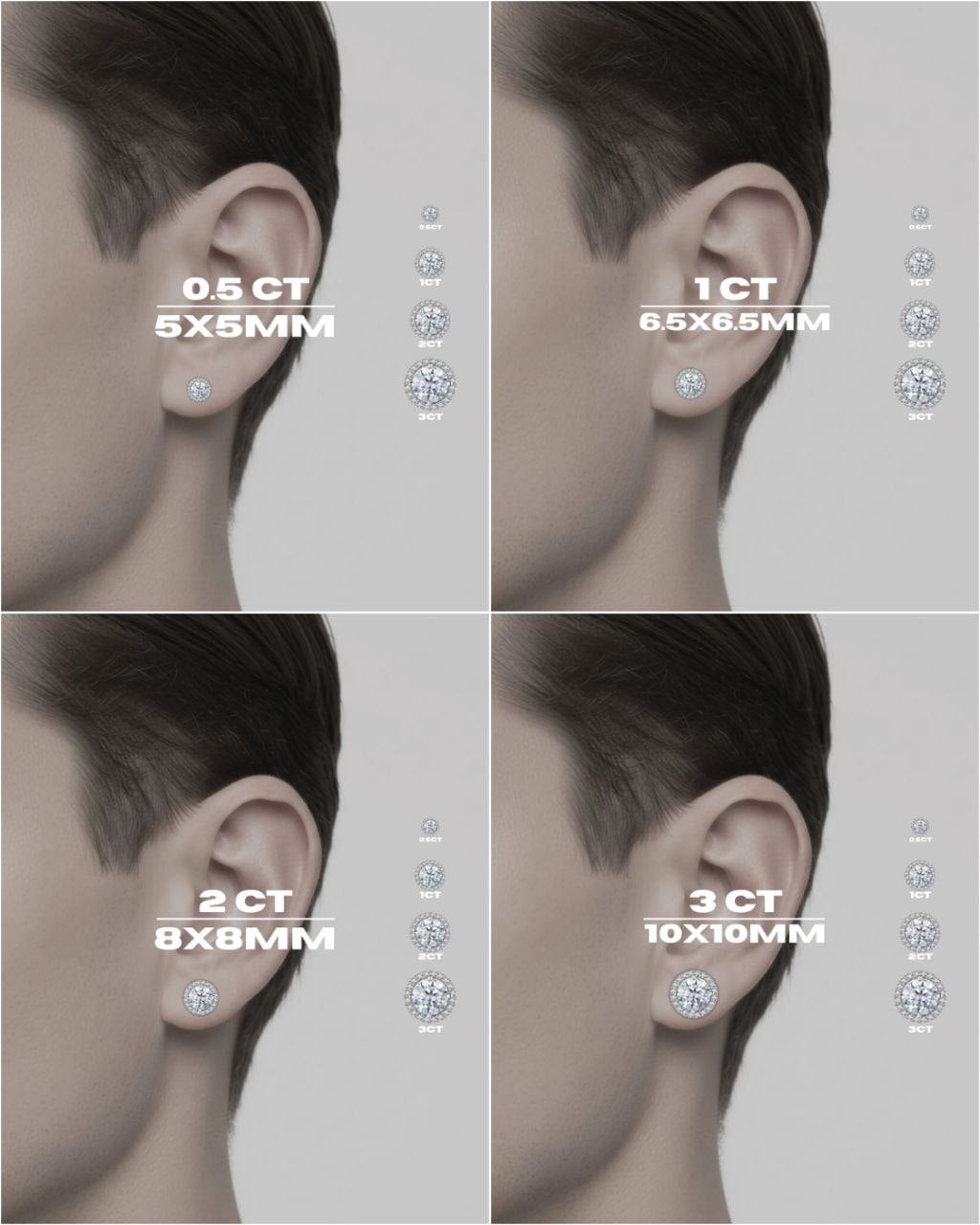 Orecchini Round Halo Cut (Argento & Moissanite)